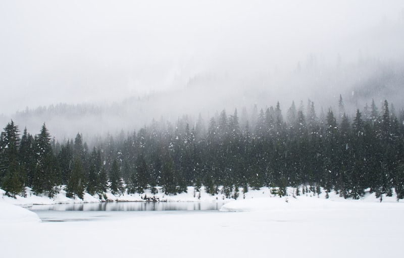 Frozen Lake